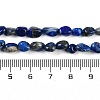 Natural Lapis Lazuli Beads Strands G-P497-01B-14-5
