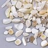 Freshwater Shell Beads SHEL-S266-11-1