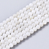 Natural Freshwater Shell Beads Strands X-BSHE-T009-01F-1