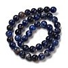 Natural South Africa Sodalite Beads Strands G-S259-35-12mm-01-7