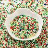 Baking Paint Glass Seed Beads SEED-S042-05B-51-2