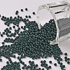 11/0 Grade A Baking Paint Glass Seed Beads X-SEED-N001-A-1041-1