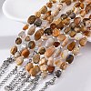 Natural Fossil Coral Beaded Bracelets for Women G-P563-07P-02-3