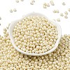 6/0 Glass Seed Beads SEED-L011-08A-16-2