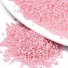 FGB 11/0 Grade A Baking Paint Glass Seed Beads SEED-S030-1143-1