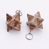 Natural Picture Jasper Pendants G-E398-02C-1