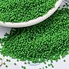 MIYUKI Round Rocailles Beads SEED-X0056-RR0411-1