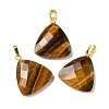 Natural Tiger Eye Pendants G-L614-D04-G02-1