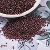 MIYUKI Delica Beads SEED-X0054-DB1705-1