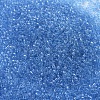 MIYUKI Delica Beads X-SEED-J020-DB0113-3
