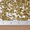 MIYUKI Delica Beads SEED-X0054-DB1738-4
