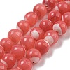 Dyed Natural Trochus Shell Beads Strands BSHE-G034-25B-1
