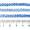 Transparent Painted Glass Beads Strands X1-DGLA-A034-T4mm-A01-3