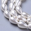 Polished Shell Pearl Beads Strands X-BSHE-L042-A02-2
