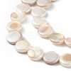 Electroplated Natural Freshwater Shell Beads Strands SHEL-K001-002-3