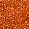 12/0 Glass Seed Beads X1-SEED-A005-2mm-29-2