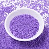 MIYUKI Delica Beads X-SEED-J020-DB1379-2