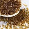 Glass Seed Beads SEED-L011-02B-05-1