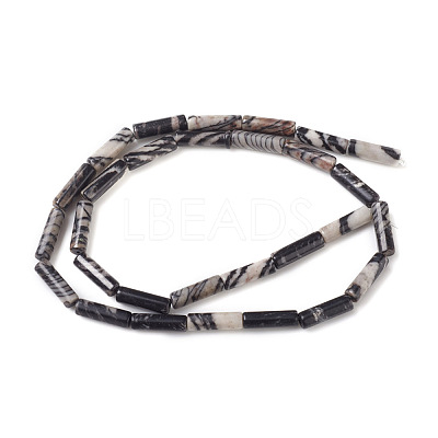 Natural Netstone Beads Strands G-F247-22-1