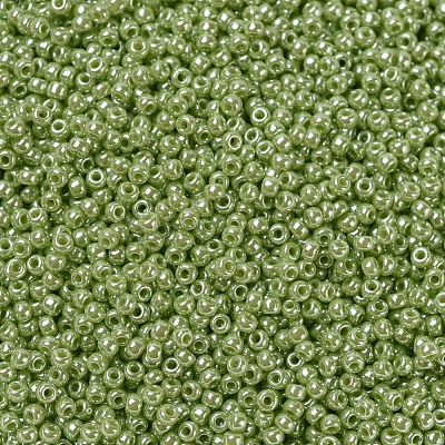 MIYUKI Round Rocailles Beads X-SEED-G007-RR0439-1