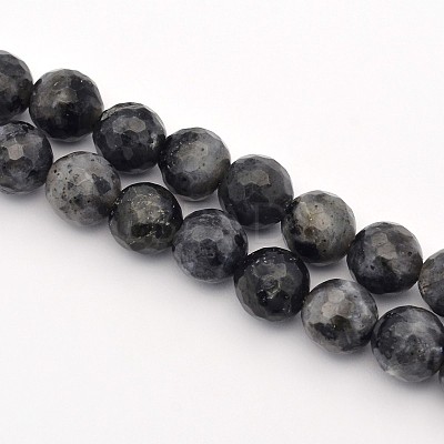Faceted Round Natural Larvikite Beads Strands G-E302-083-8mm-1