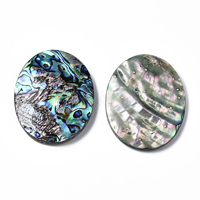 Natural Abalone Shell/Paua Shell Cabochons SSHEL-N034-87-1