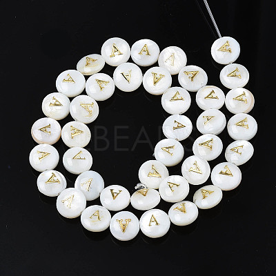 Natural Freshwater Shell Beads SHEL-S276-168A-1