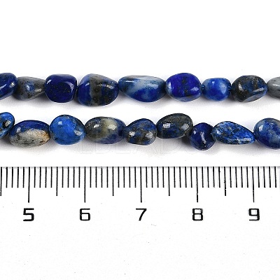 Natural Lapis Lazuli Beads Strands G-P497-01B-14-1