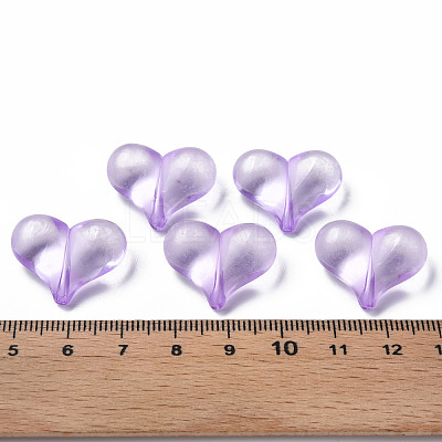 Transparent Acrylic Beads MACR-S373-70-B14-1