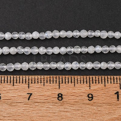 Natural Rainbow Moonstone Beads Strands G-B142-A04-2mm-1