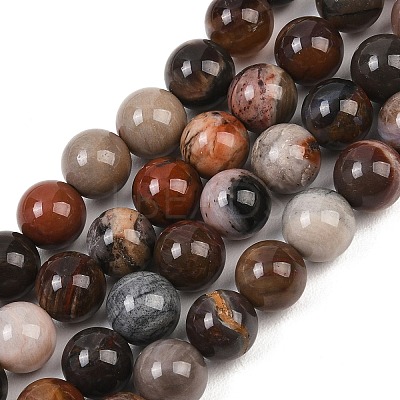 Natural Petrified Wood Round Bead Strands G-F266-08-8mm-1