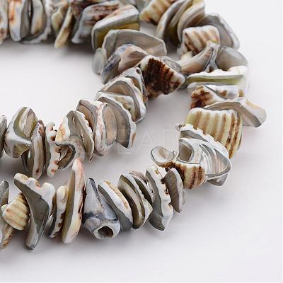 Natural Shell Bead Strands BSHE-P010-08-1