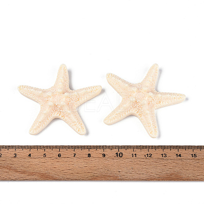 Resin Decoden Cabochons CRES-T025-05A-1