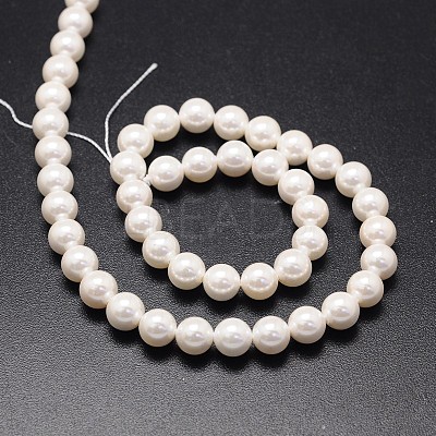 Shell Pearl Beads Strands X-BSHE-E008-10mm-12-1