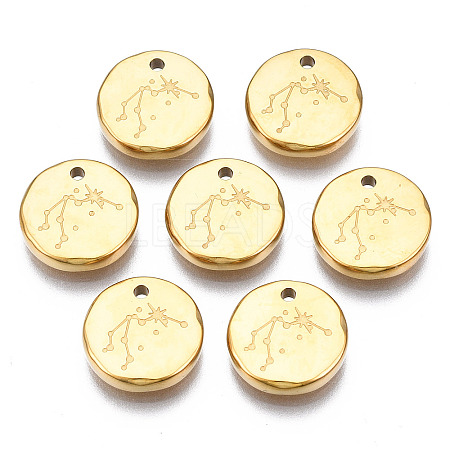 316 Surgical Stainless Steel Charms STAS-S116-418F-G-1