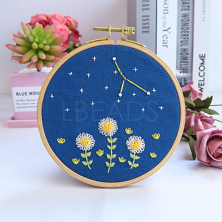 Flower & Constellation Pattern 3D Bead Embroidery Starter Kits DIY-P077-084-1