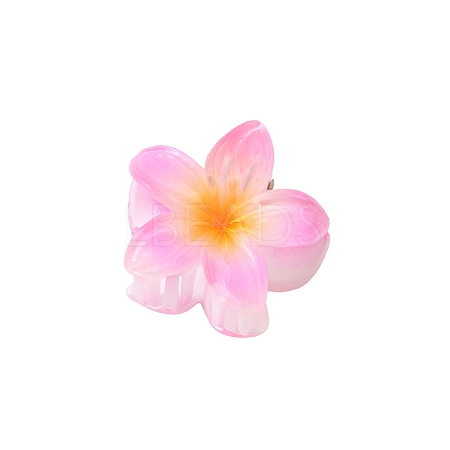 Plastic Claw Hair Clips PW-WG07B2B-11-1