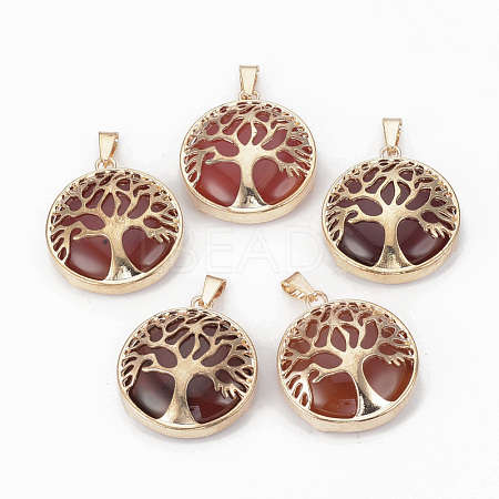 Natural Carnelian Pendants G-S292-10H-G-1