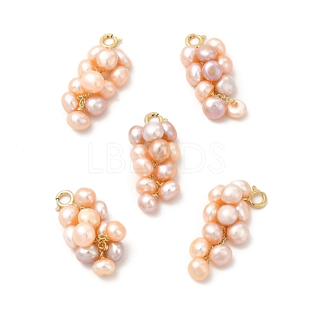 Natural Pearl Cluster Brass Spring Ring Clasp Charms KK-I697-08G-1