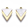 316 Surgical Stainless Steel Charms LS-STAS-N097-043-2