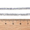 Natural Labradorite Beads Strands G-RM241221-A10-4