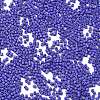 Baking Paint Glass Seed Beads X-SEED-S042-05B-74-3