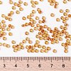 MIYUKI Round Rocailles Beads SEED-X0055-RR0377-4