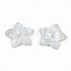 Natural White Shell Beads SSHEL-N027-131A-01-4