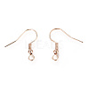 Iron Earring Hooks LS-X-IFIN-EC135-RG-2