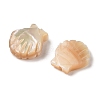 Natural Trochus Shell Carved Beads SHEL-P017-08A-2