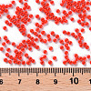 11/0 Grade A Baking Paint Glass Seed Beads X-SEED-N001-A-1006-3