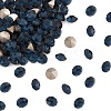 Preciosa&reg MAXIMA Crystal Round Stones X-PRC-RBSS29-30340-1