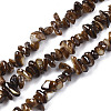 Natural Freshwater Shell Beads Strands SHEL-S278-070A-1