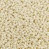MIYUKI Round Rocailles Beads SEED-G008-RR0486-3